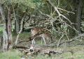 bd_DSC00197 (2)